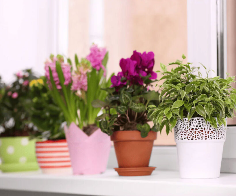 1000x1200 04.jpg צור